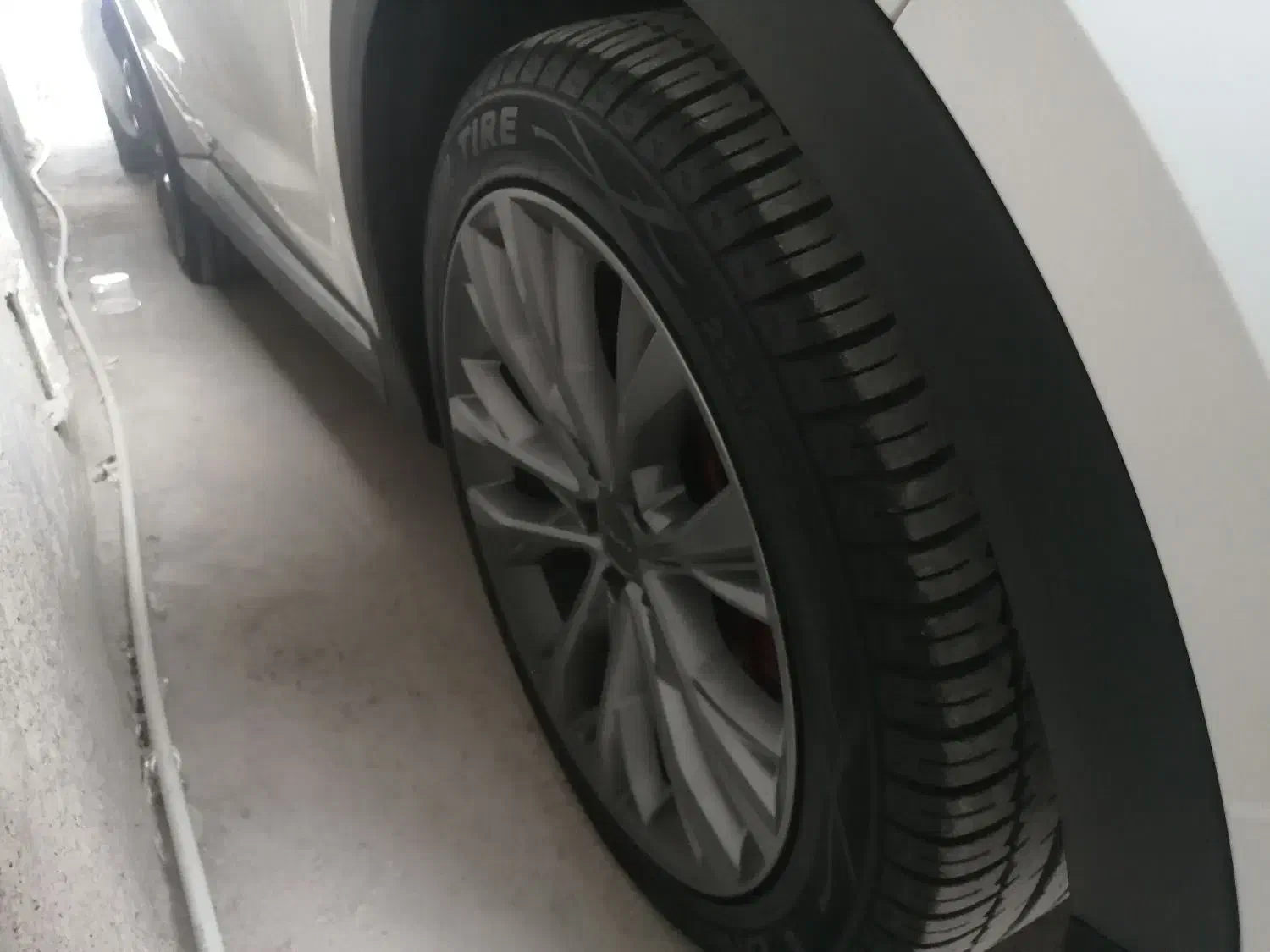 فیدلیتی الیت 5 نفره مدل 1404|خودرو سواری و وانت|بندر کنگان, |دیوار