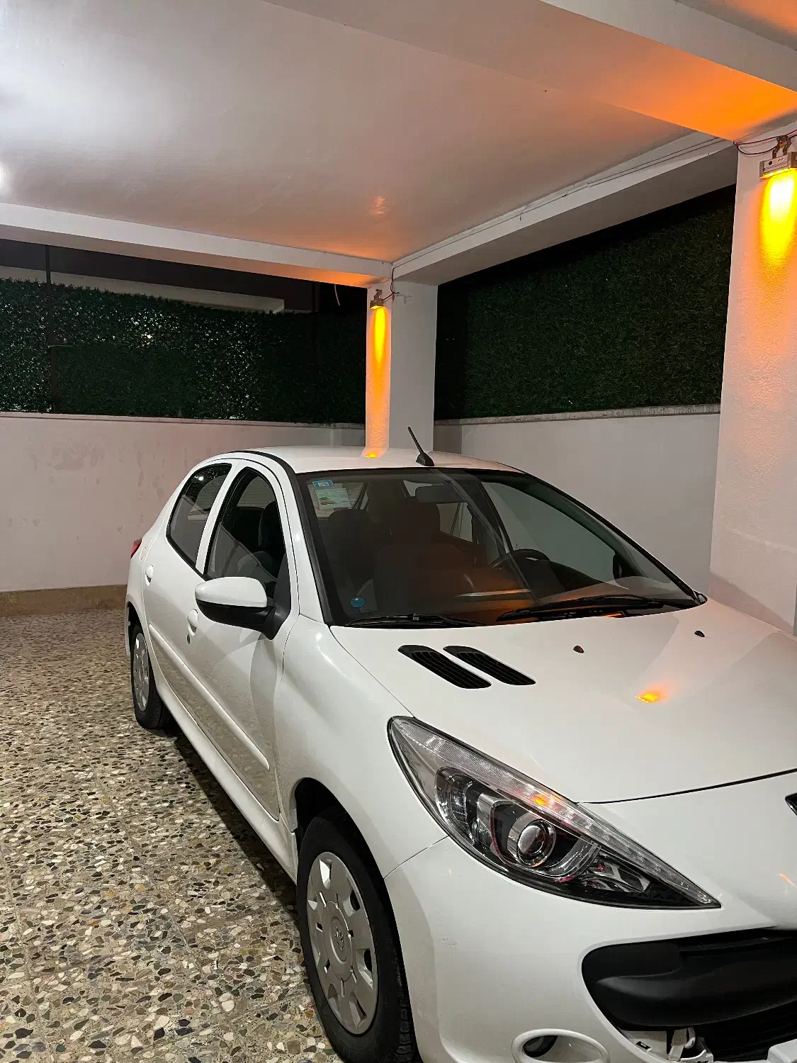 ۲۰۷ ۱۴۰۱|خودرو سواری و وانت|چالوس, |دیوار