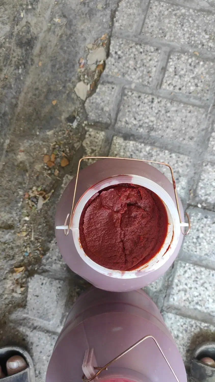 رب گوجه با ضمانت|خوردنی و آشامیدنی|مشهد, هنرور|دیوار