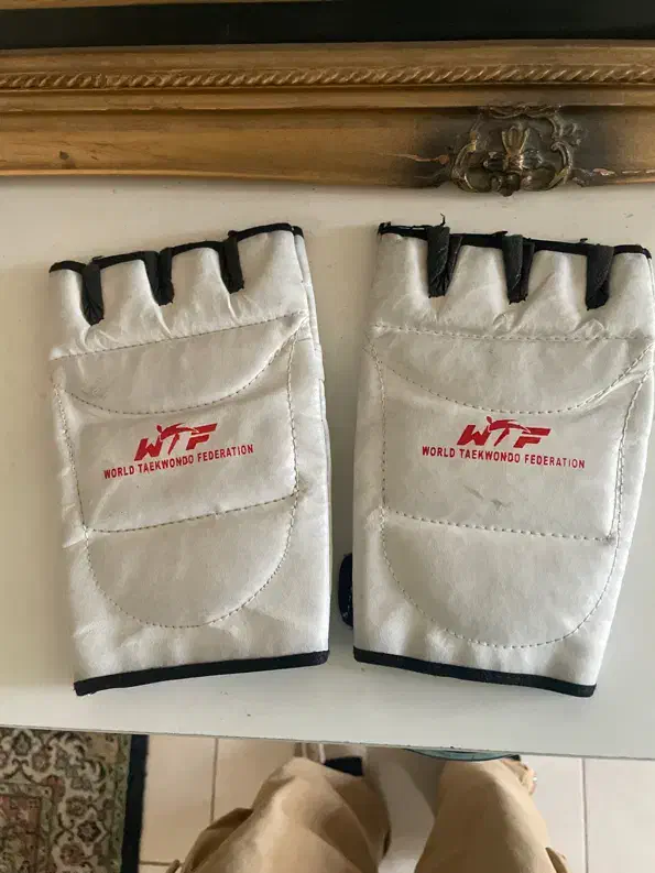 دستکش تکواندو بند trx|تجهیزات ورزشی|اندیشه, اندیشه فاز ۲|دیوار