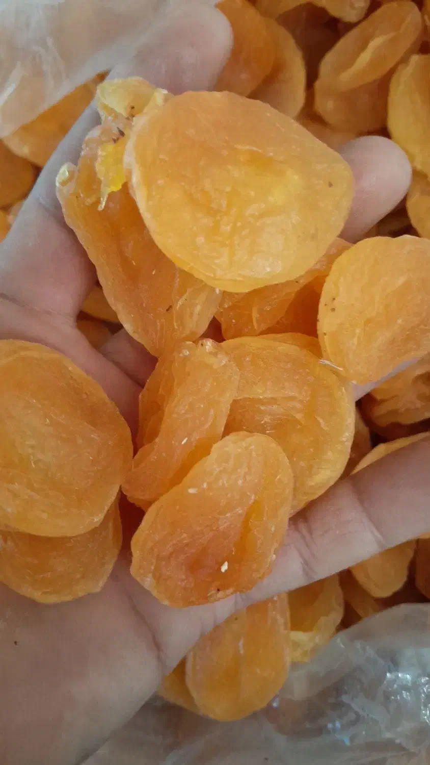 برگه زردآلو قیصی درجه یک|خوردنی و آشامیدنی|سیه رود, |دیوار