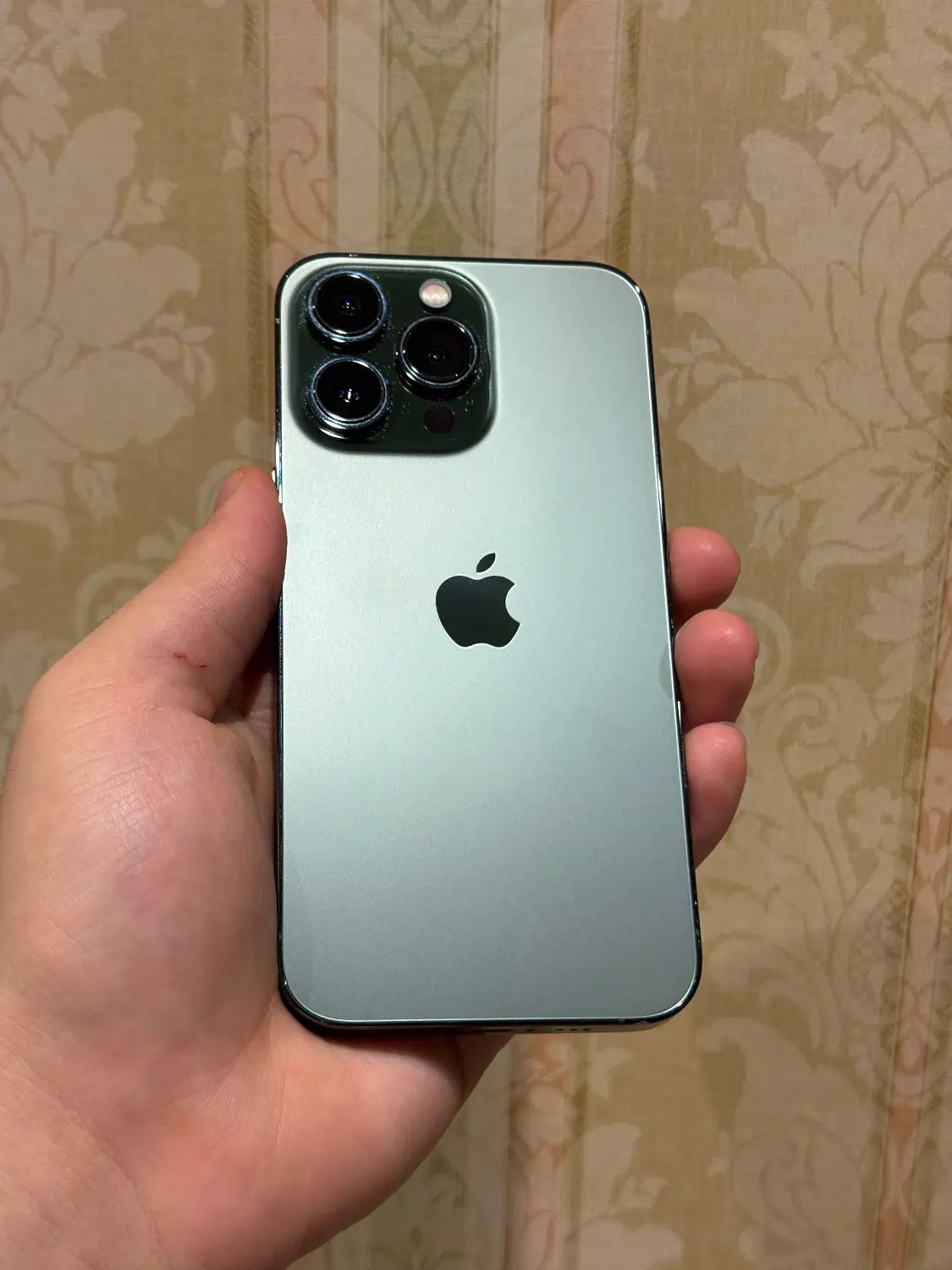 iPhone 13 Pro|موبایل|تهران, بلوار کشاورز|دیوار