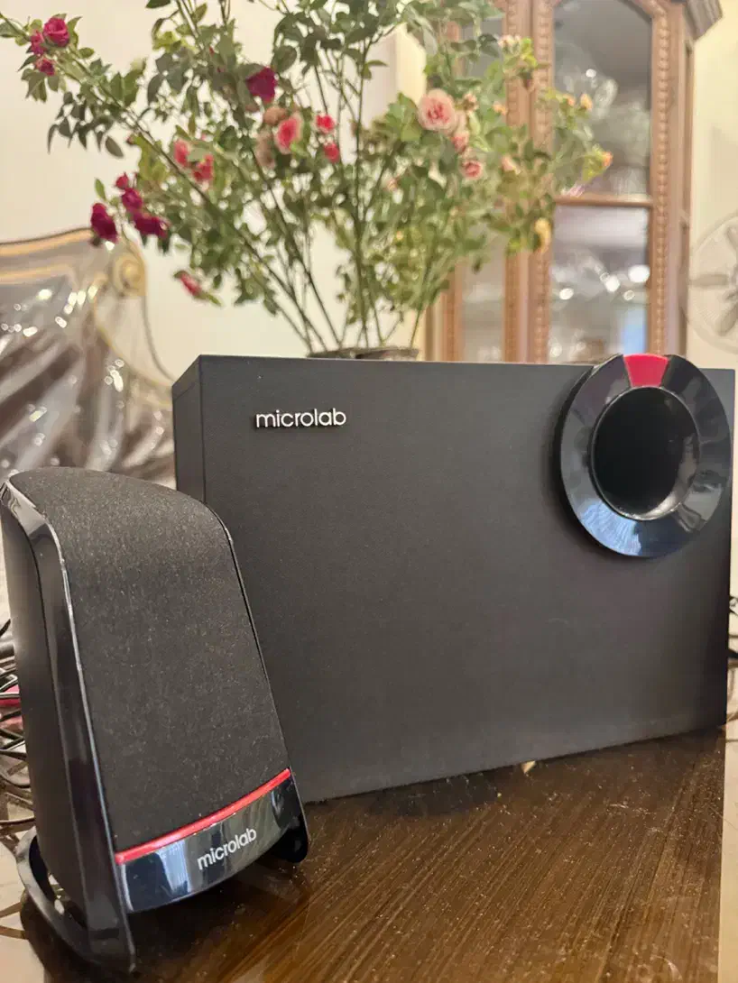 اسپیکر کامپیوتر میکرولب|قطعات و لوازم جانبی رایانه|مشهد, شهید بهشتی|دیوار