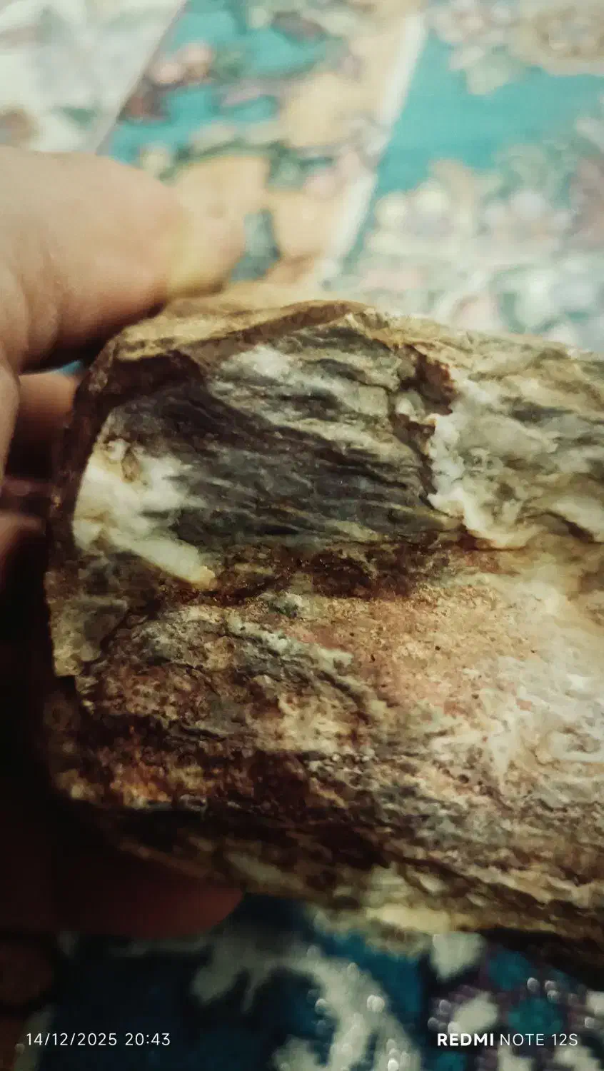 سنگ|کلکسیون اشیاء عتیقه|تهران, شمس‌آباد|دیوار