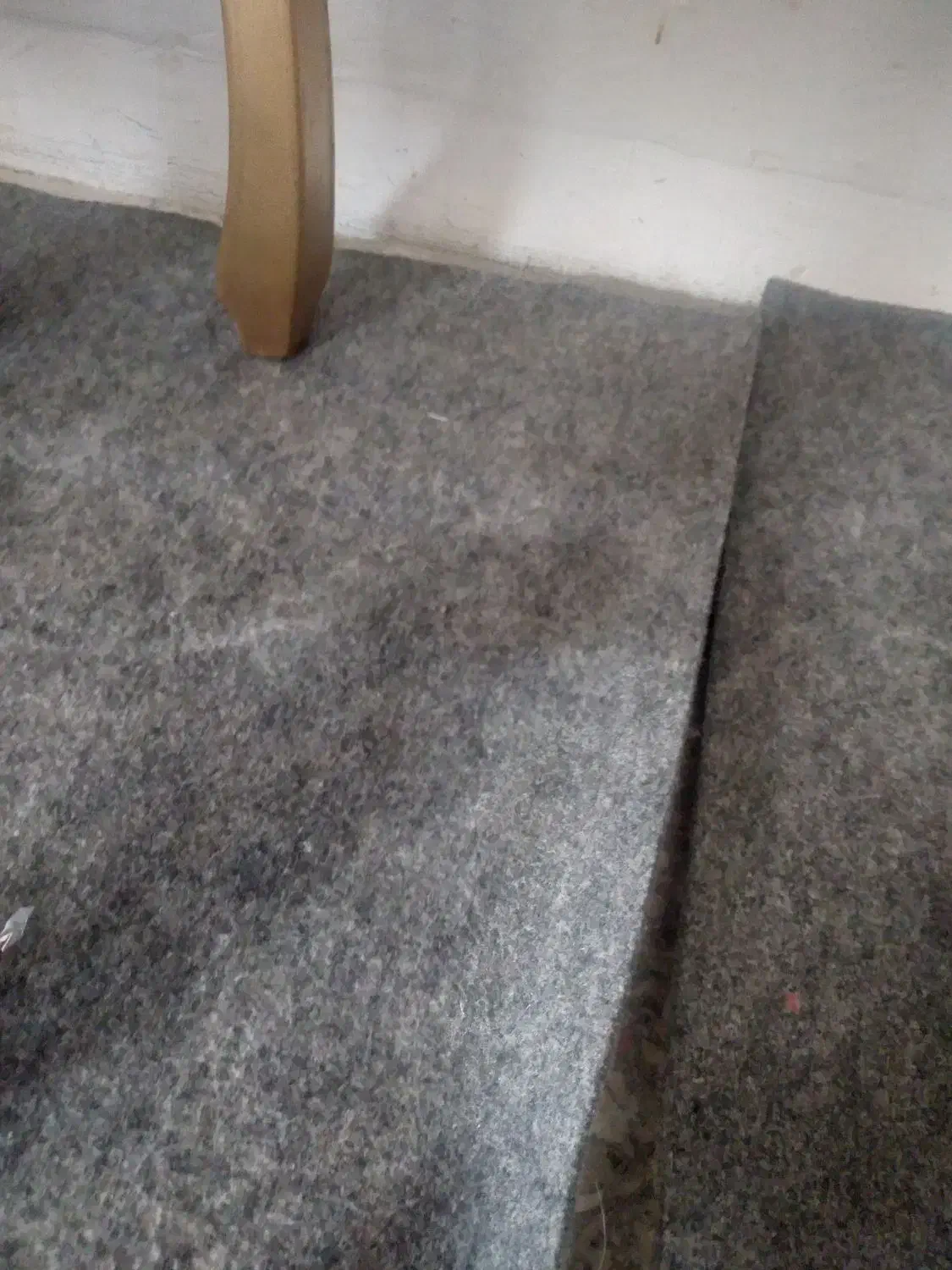 موکت|موکت|قزوین, |دیوار