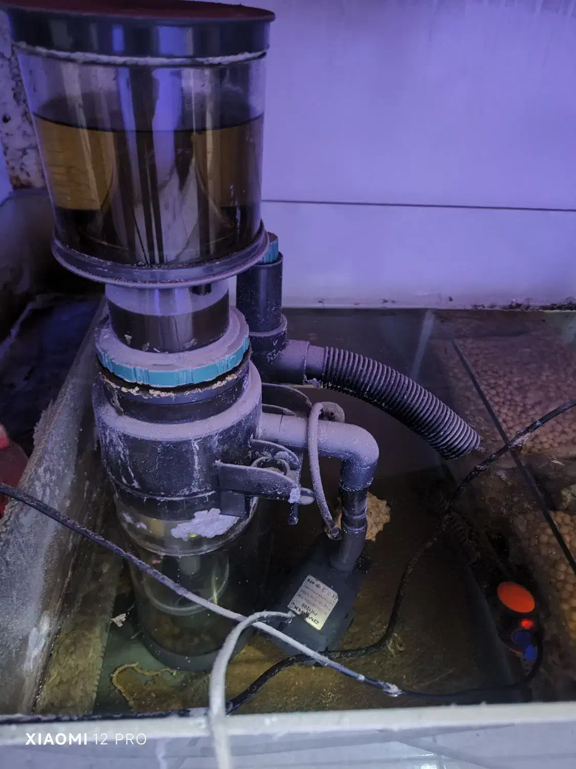 اکواریوم اب شور در حال کار کاملا سالم همراه ماهی|ماهی|تهران, صاحب الزمان|دیوار