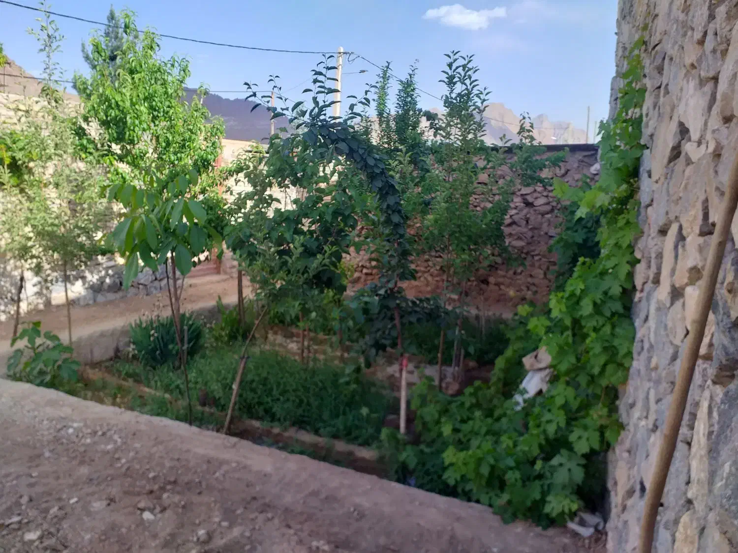 فروش خانه ویلایی نیمه ساز ده بالا طزرجان|فروش خانه و ویلا|تفت, |دیوار