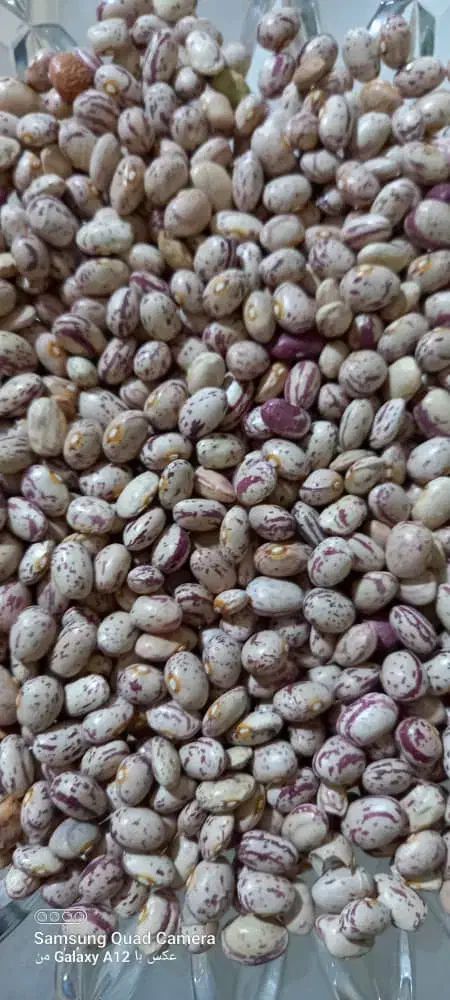 لوبیا چیتی|عمدهفروشی|قرچک, باقرآباد|دیوار