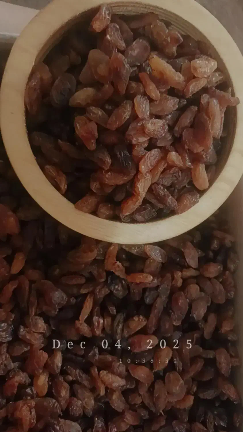 کشمش آفتابی کاشمر|خوردنی و آشامیدنی|ورامین, ورامین|دیوار