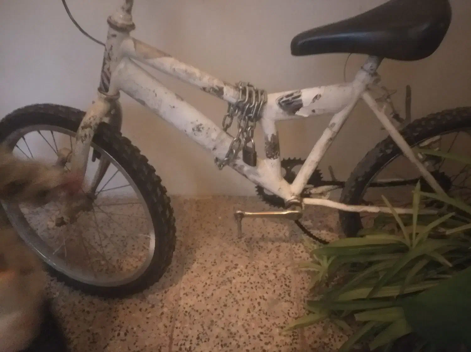 دوچرخه سایز 20 سالم|دوچرخه، اسکیت، اسکوتر|تهران, جی|دیوار