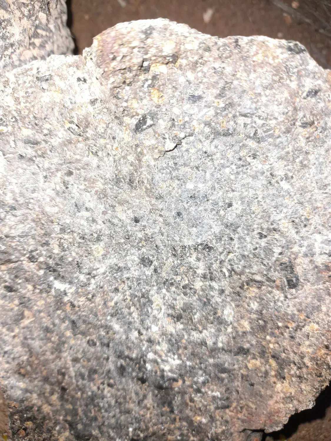 شهاب سنگ|کلکسیون اشیاء عتیقه|زاهدان, |دیوار