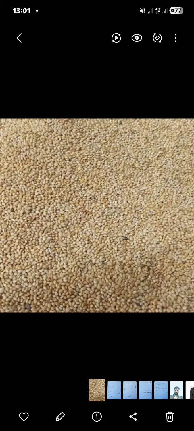 فروش ارزن|خوردنی و آشامیدنی|ارزوئیه, |دیوار