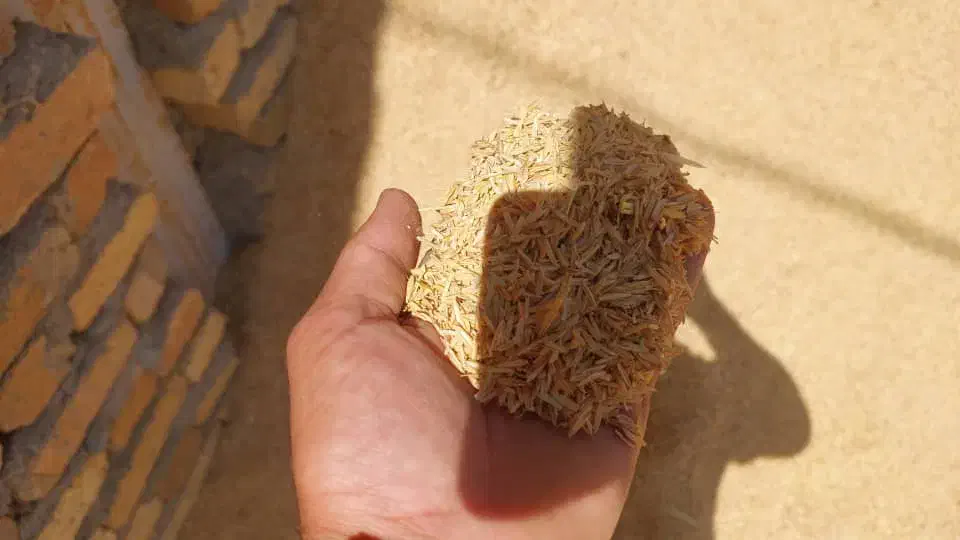 سبوس برنج|عمده‌فروشی|محلات, |دیوار