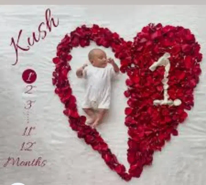 ماهگرد|تابلو، نقاشی، عکس|تهران, تهرانپارس غربی|دیوار