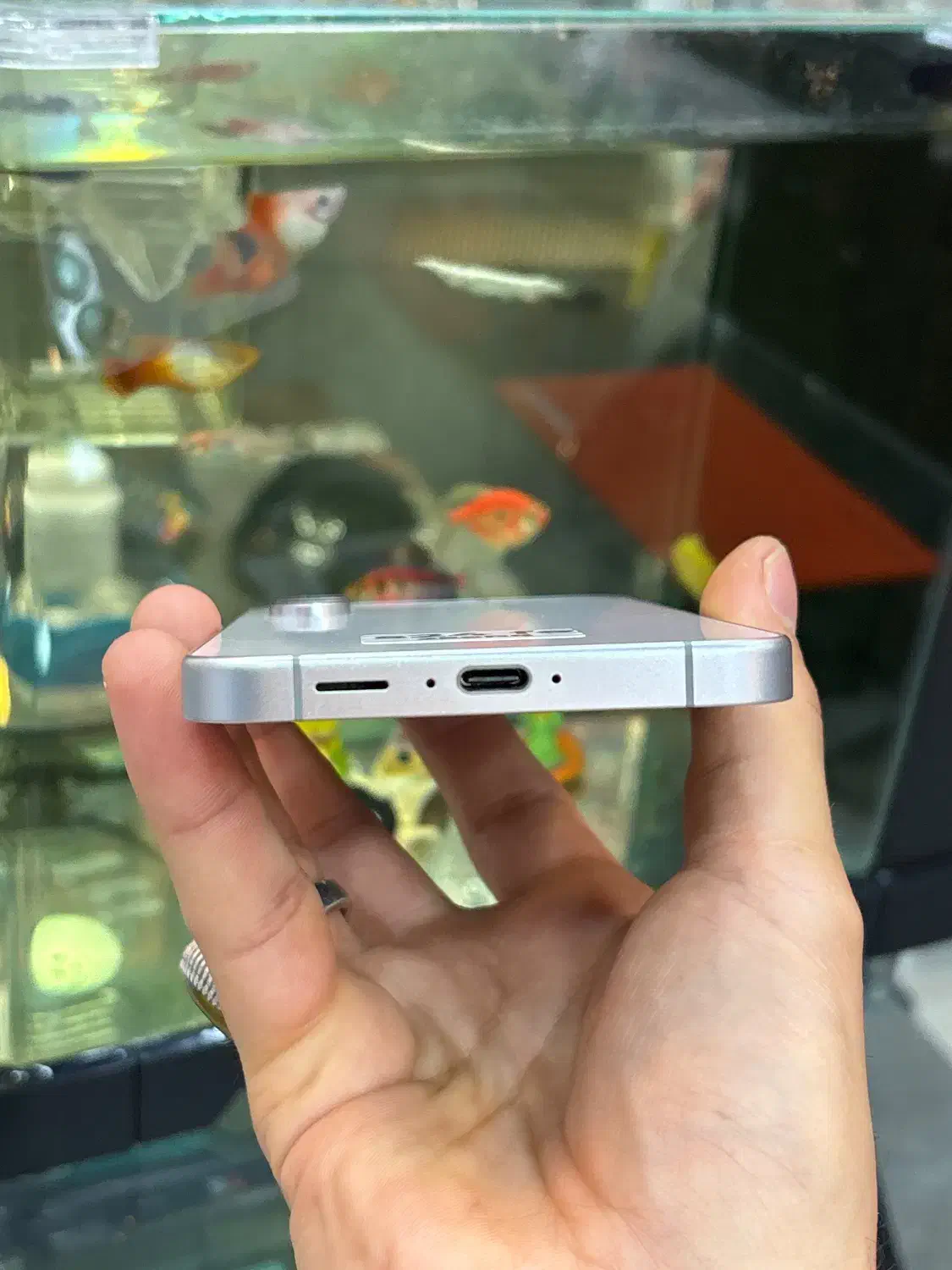 S24fe 256 5G|موبایل|شیراز, زند|دیوار