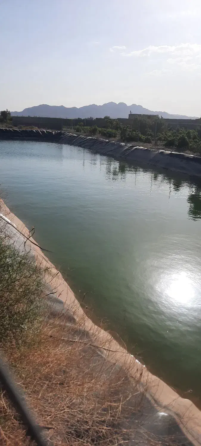 استخرذخیره آب کشاورزی وباغ پسته|فروش دفتر صنعتی، کشاورزی، تجاری|تربت‌حیدریه, پائین ولایت|دیوار