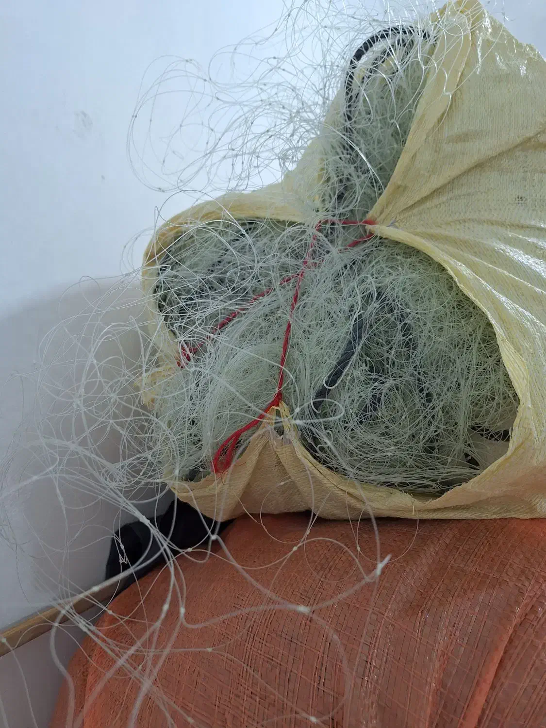 تور پرسوکی(سنگ سری)|ماهیگیری|بندر دیر, |دیوار