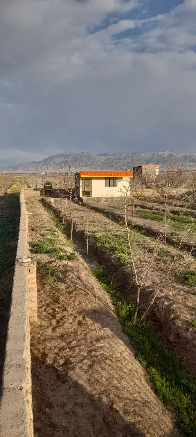 تصویر 13