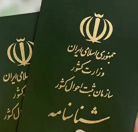 شناسنامه گم شده|اشیا|مسجد سلیمان, |دیوار