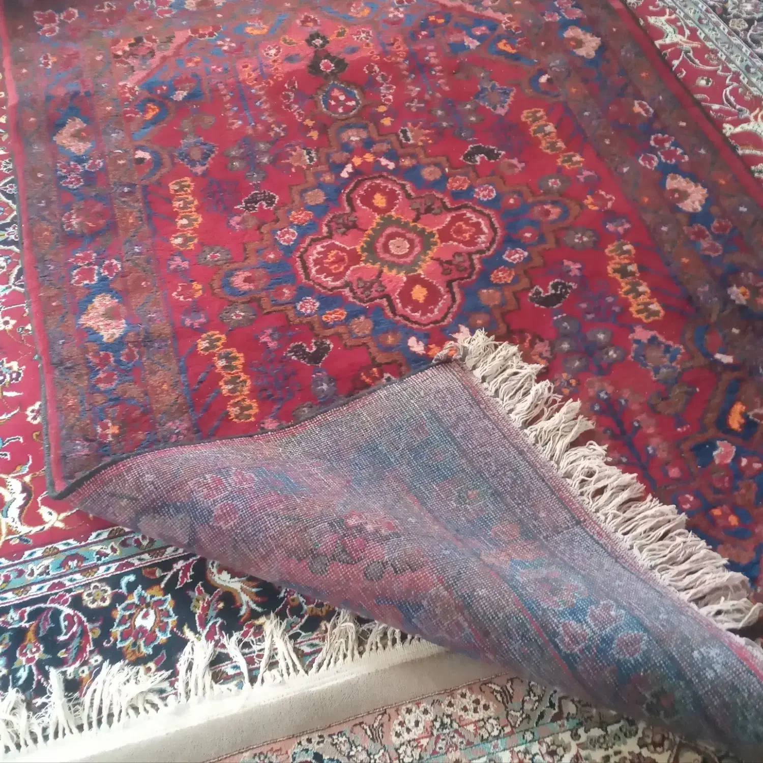 قالی دست بافت قدیمی|فرش|بروجرد, |دیوار