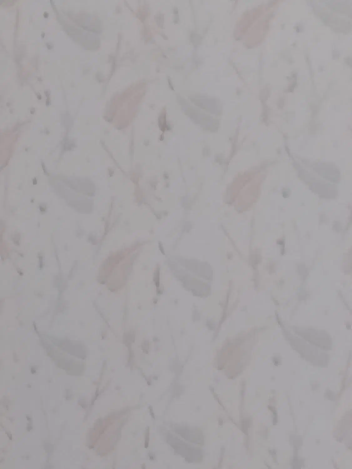 وسایل مرغ فروشی زنده|فروشگاه و مغازه|کوهدشت, |دیوار