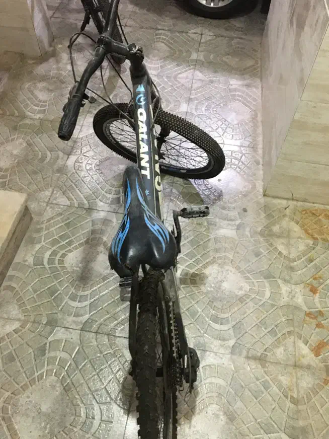 دوچرخه ۲۴|دوچرخه، اسکیت، اسکوتر|بوشهر, |دیوار