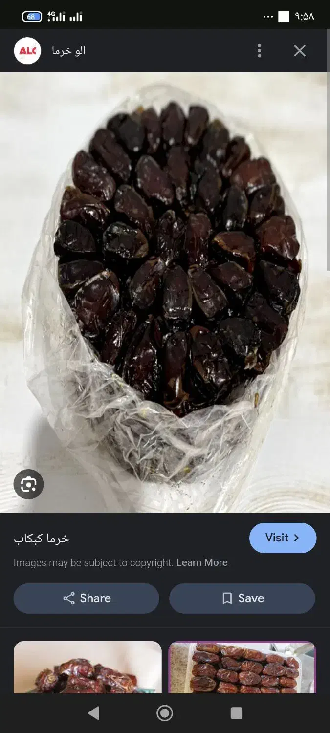 فروش خرما درجه 1|خوردنی و آشامیدنی|باغستان, |دیوار