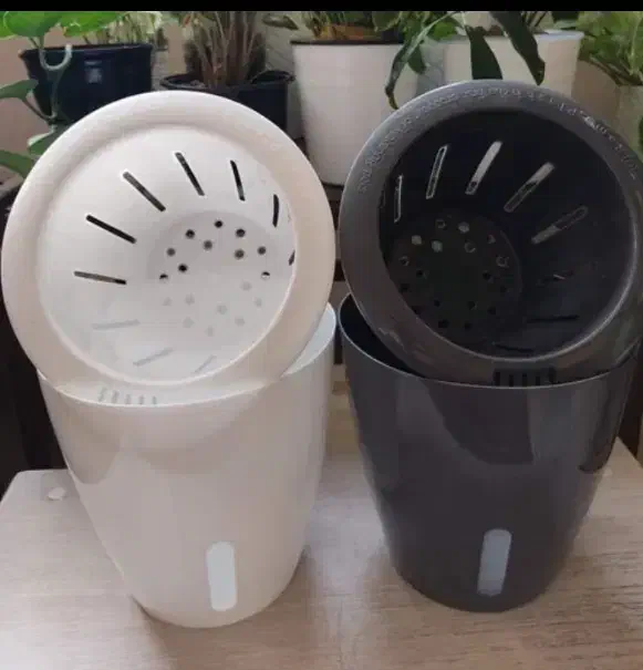 گلدان هیدروپونیک|گل و گیاه طبیعی|آمل, |دیوار