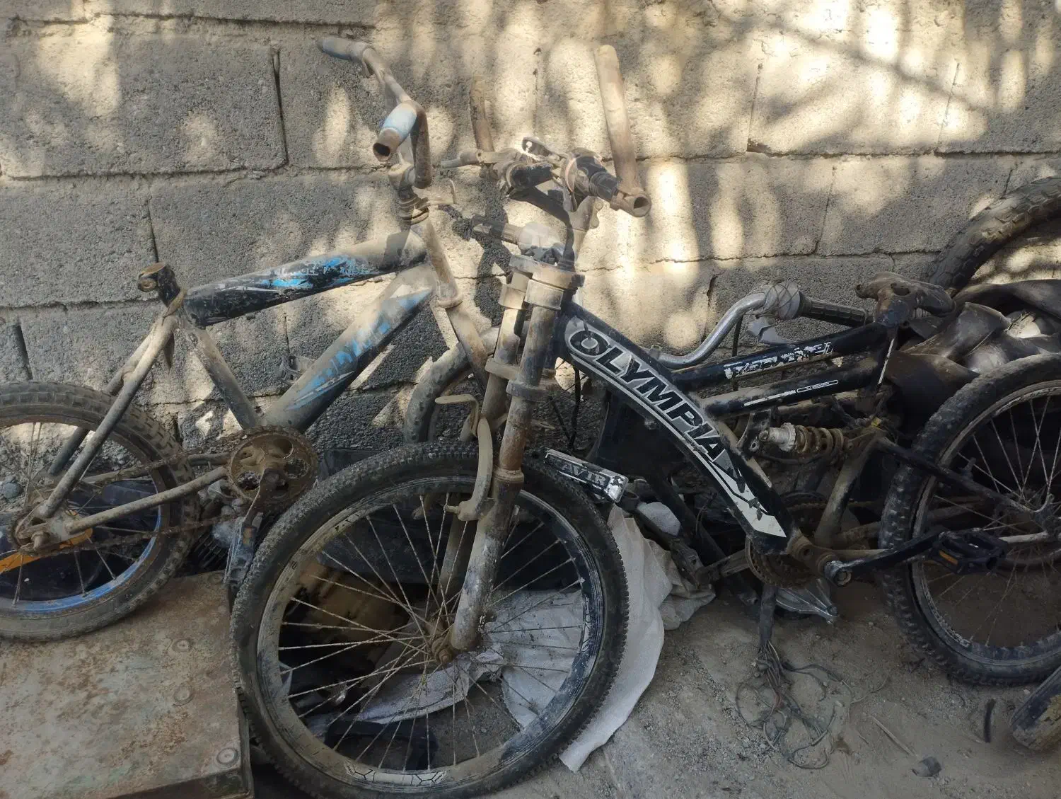 دوچرخه ۱۶..۲۰..۲۴|دوچرخه، اسکیت، اسکوتر|میناب, |دیوار