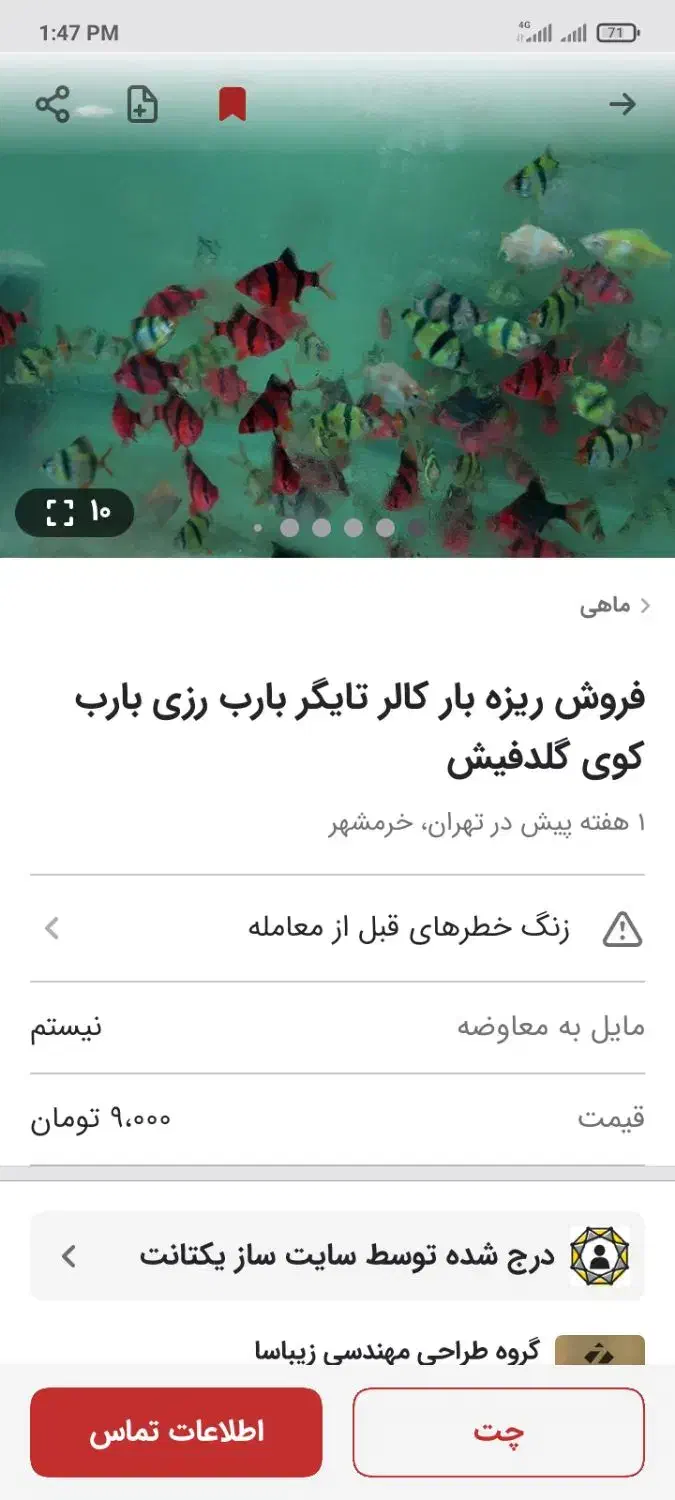 فروش عمده ماهی تایگر یکسانتی|ماهی|تهران, اقدسیه|دیوار