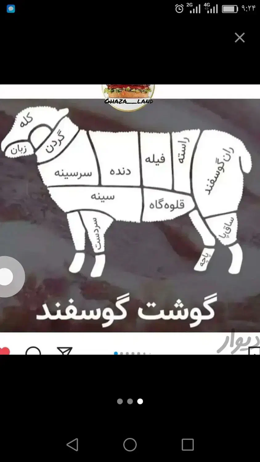 ذبح حلال گوسفند و قصابی در محل(قصاب شرعی سیار)|خدمات پذیرایی، مراسم|اردبیل, |دیوار