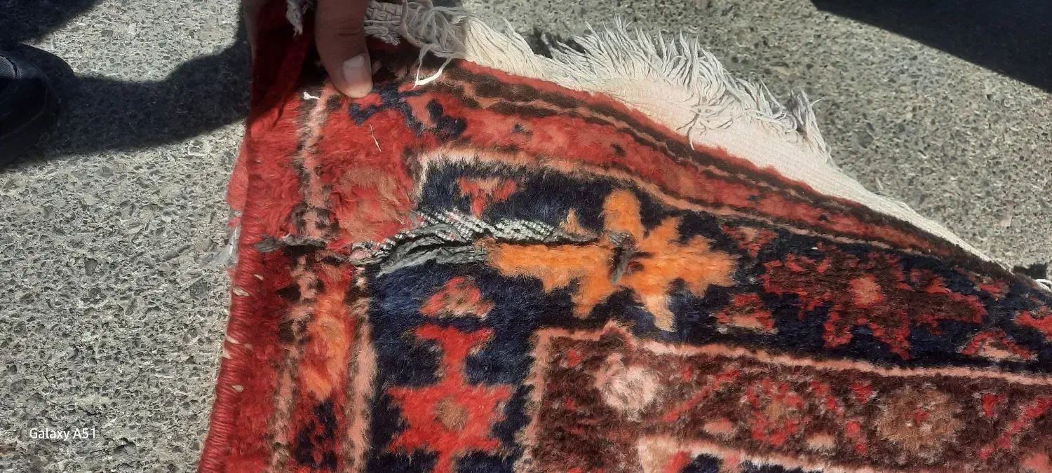 فرش دستباف|فرش|محمدیه-قزوین, |دیوار