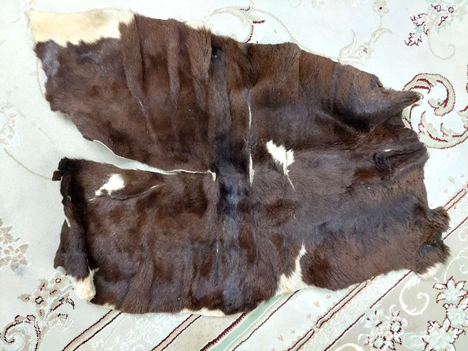 پوست بز|صنایع دستی و سایر لوازم تزئینی|ری, شهادت|دیوار