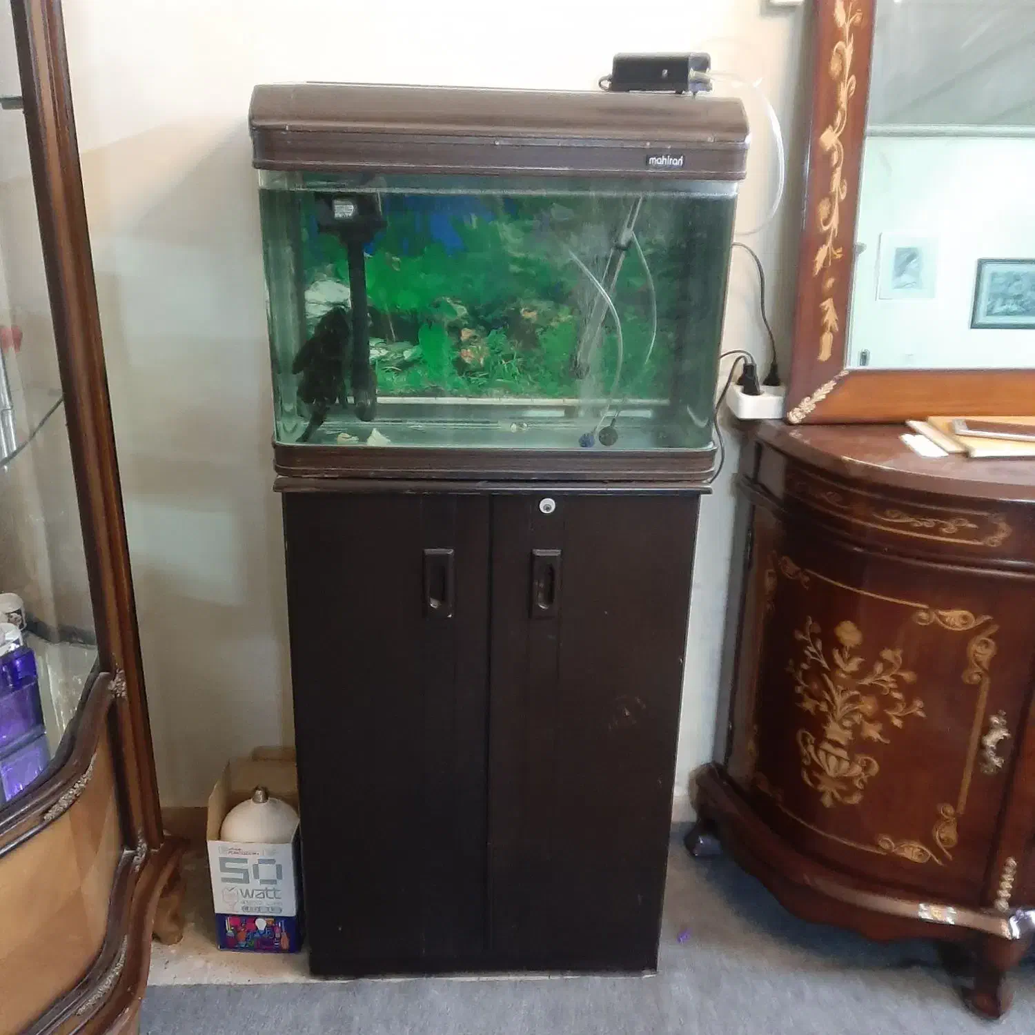 آکواریوم شرکتی ماهیران شیشه خم پمپ بخاری تصفیه|ماهی|گلستان (تهران), |دیوار