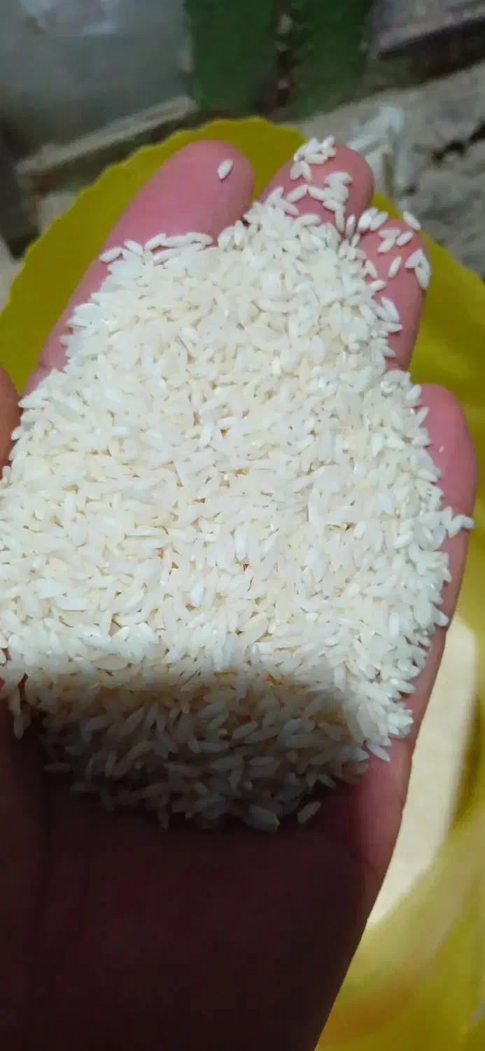 برنج عنبر بو معطر ایرانی|خوردنی و آشامیدنی|ساری, |دیوار