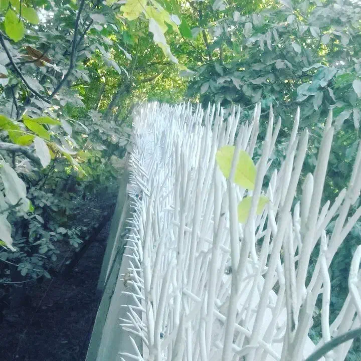 حفاظ (شاخ گوزنی ممتاز) باارسال رایگان|خدمات پیشه و مهارت|اسلام‌شهر, شهرک واوان|دیوار