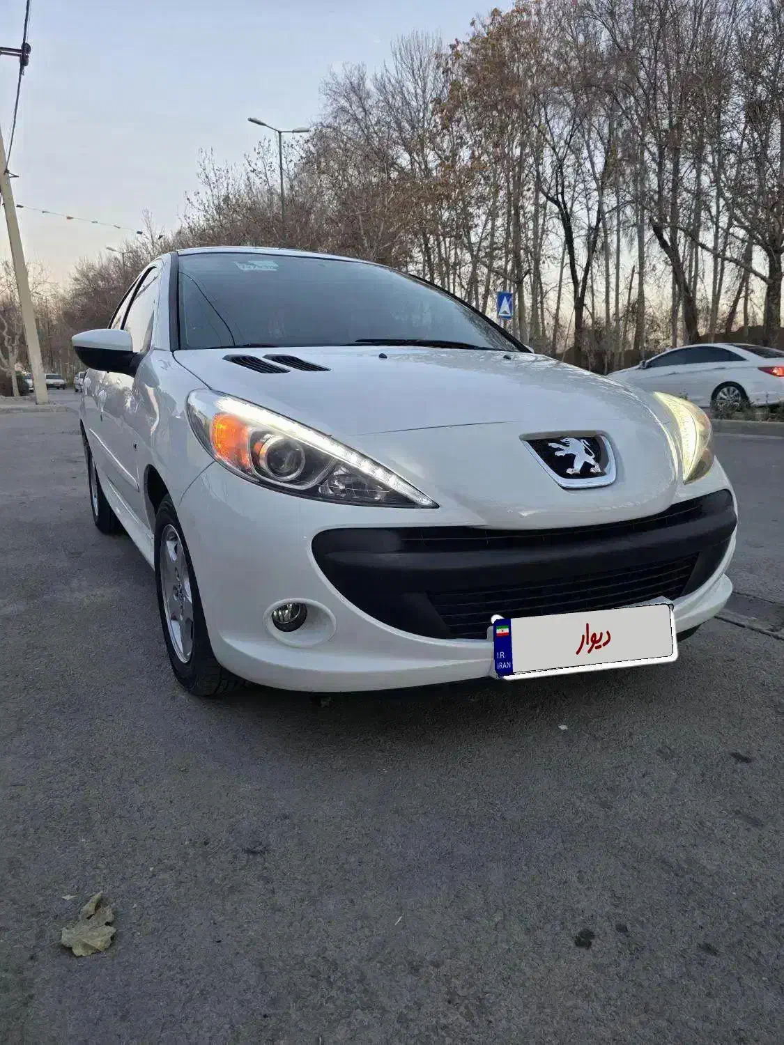 207 پاناروما|خودرو سواری و وانت|اصفهان, جلفا|دیوار