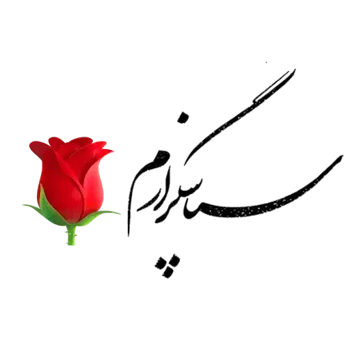 راهنمایی وکمک|فعالیت داوطلبانه|شیراز, محراب|دیوار