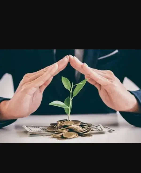 نیازمند سرمایه|خدمات مالی، حسابداری، بیمه|کاشان, حاج جمال|دیوار