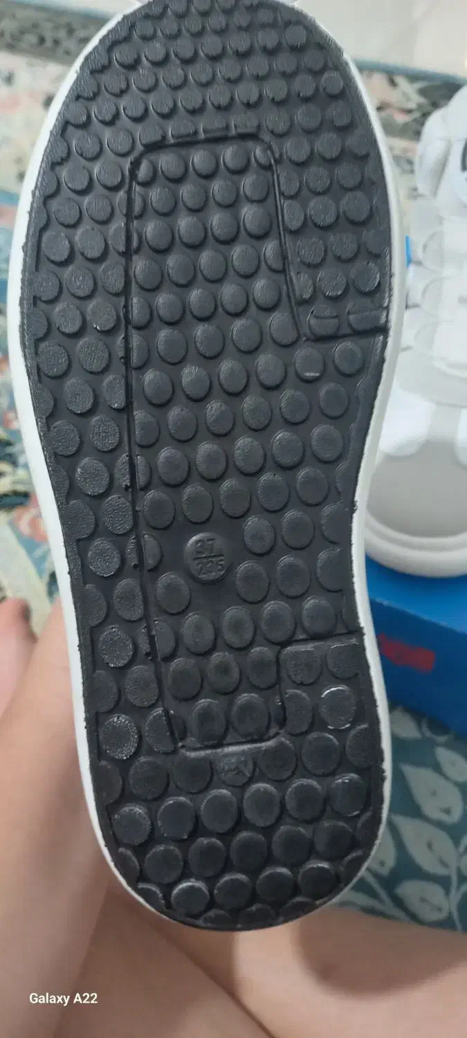 کفش آدیداس|کیف، کفش، کمربند|فومن, |دیوار