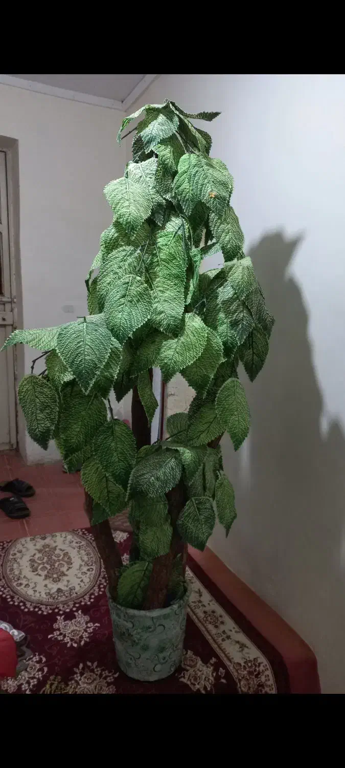 درختچه|گل مصنوعی|اهر, |دیوار