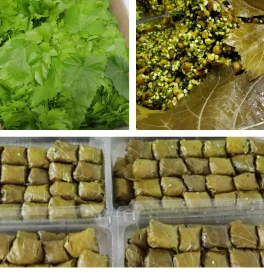 دلمه خانگی برگ مو کلم و فلفل|خوردنی و آشامیدنی|تهران, کاشانک|دیوار