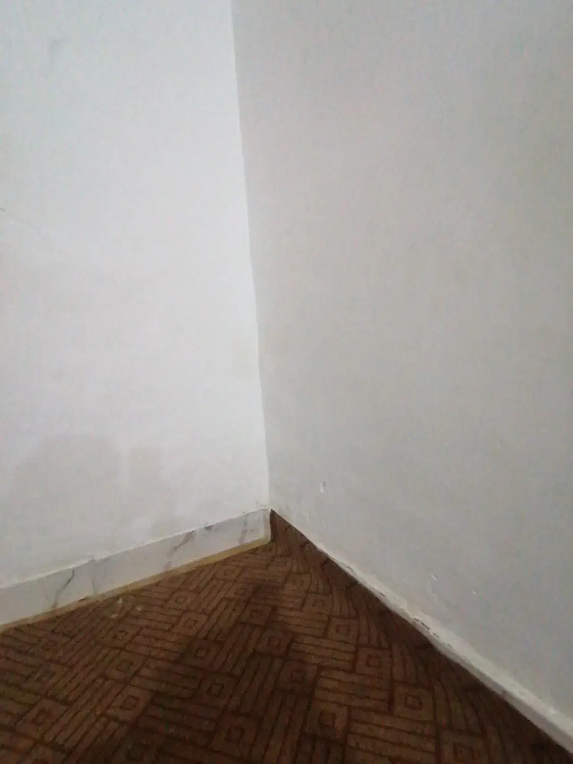 مغازه|اجارهٔ مغازه و غرفه|کوهین, |دیوار