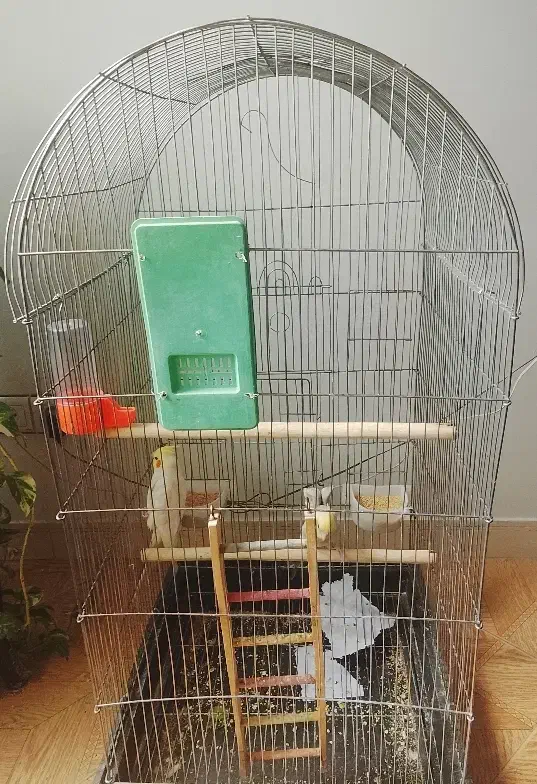 قفس پرنده|لوازم جانبی حیوانات|شهر ری, دولت‌آباد|دیوار