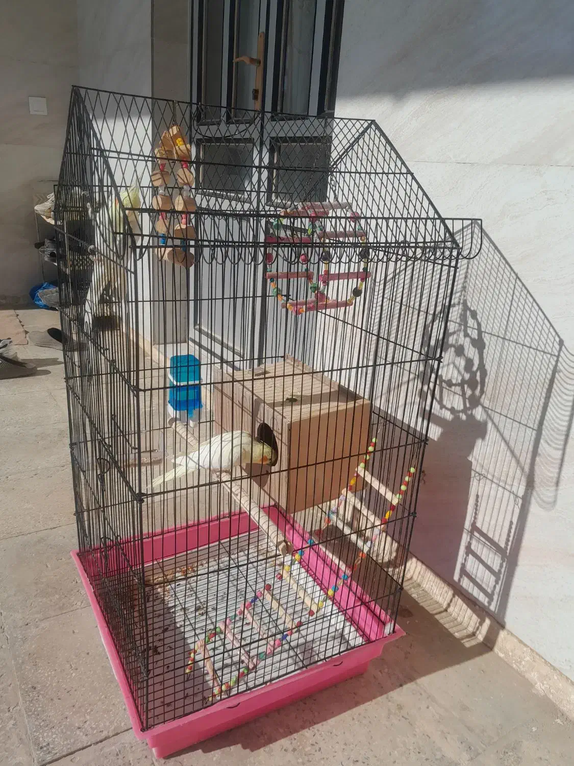 یه جفت عروس هلندی همراه قفس|پرنده|کبودرآهنگ, |دیوار