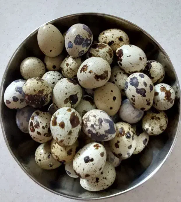 تخم بلدرچین خوراکی|خوردنی و آشامیدنی|اصفهان, بهارستان|دیوار