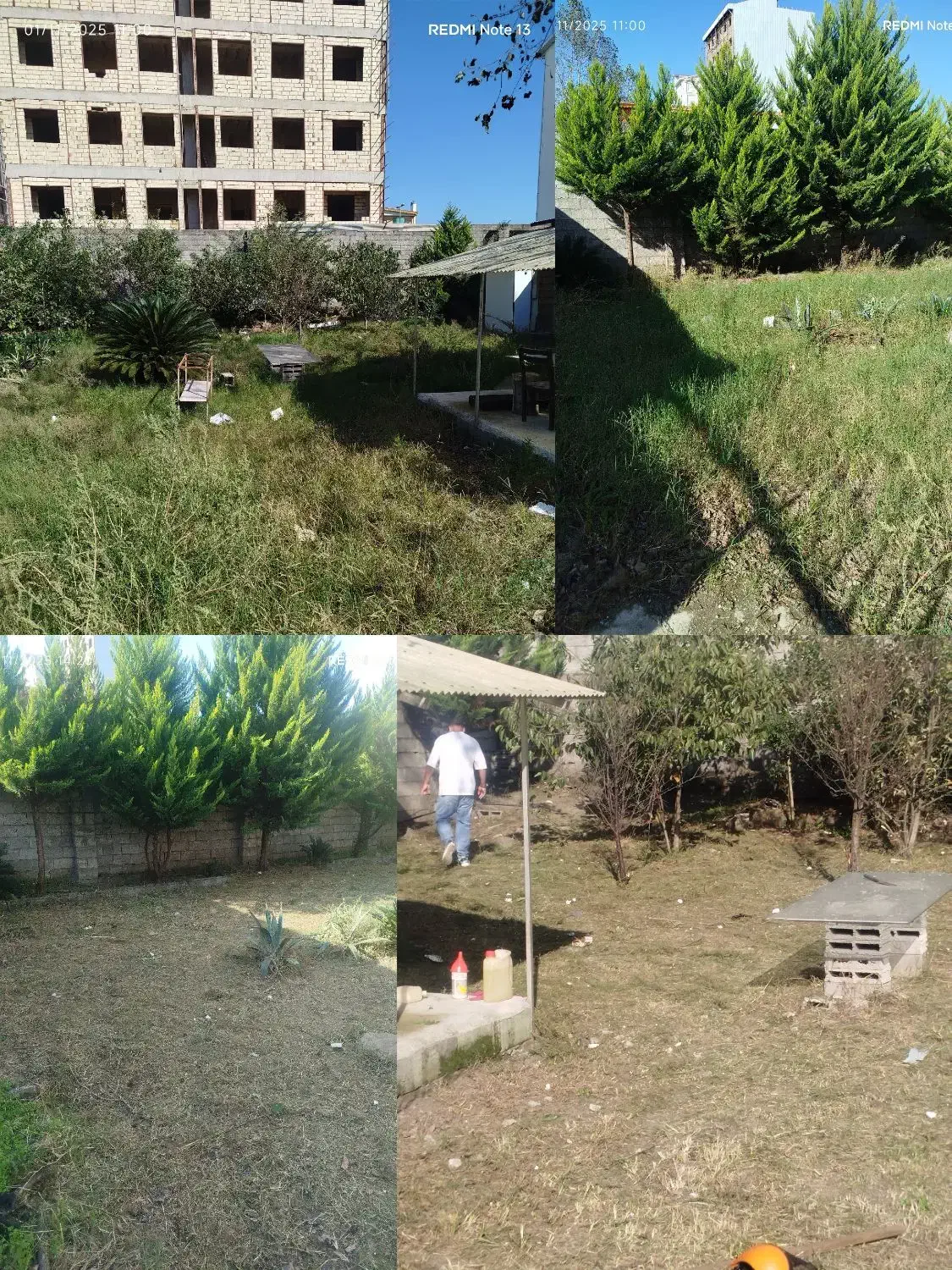 علفزنی و چمنزنی|خدمات باغبانی و درختکاری|کیاشهر, |دیوار