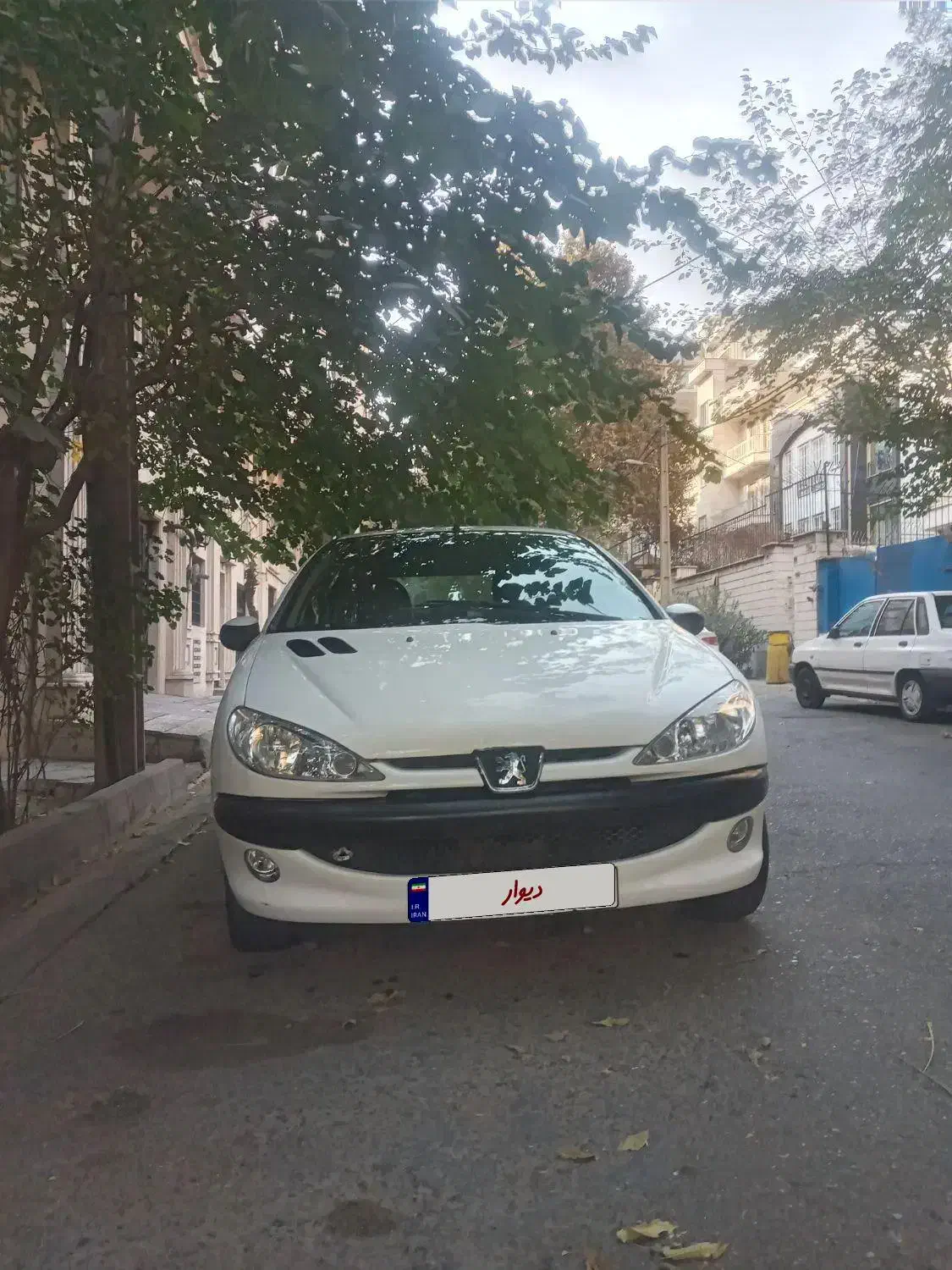 ۲۰۶مدل ۹۶ تیپ ۵|خودرو سواری و وانت|تهران, ازگل|دیوار