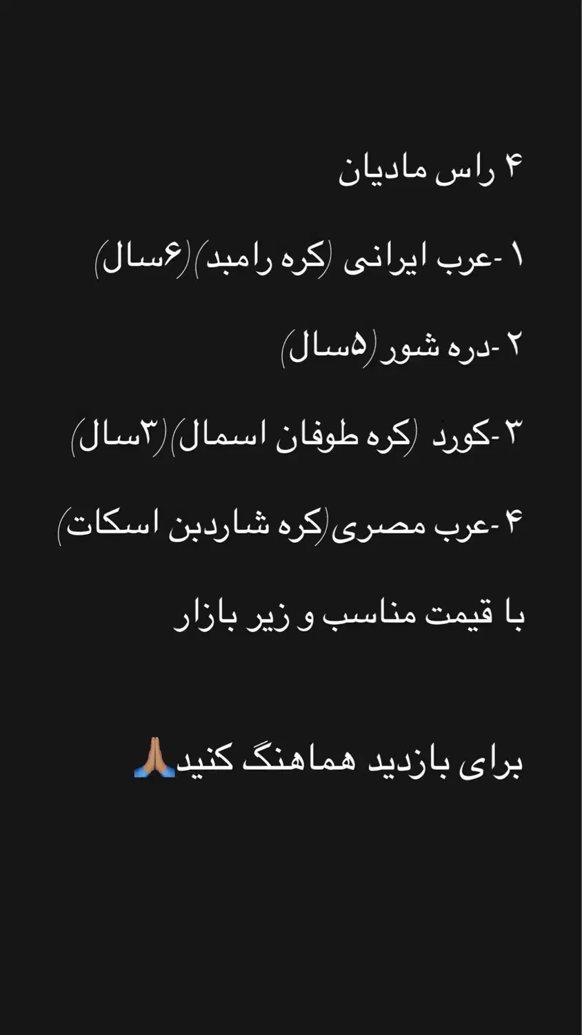 فروش ۵ راس اسب مادیان نژاد دار زیر قیمت|اسب و تجهیزات اسب‌سواری|خمینی‌شهر, |دیوار