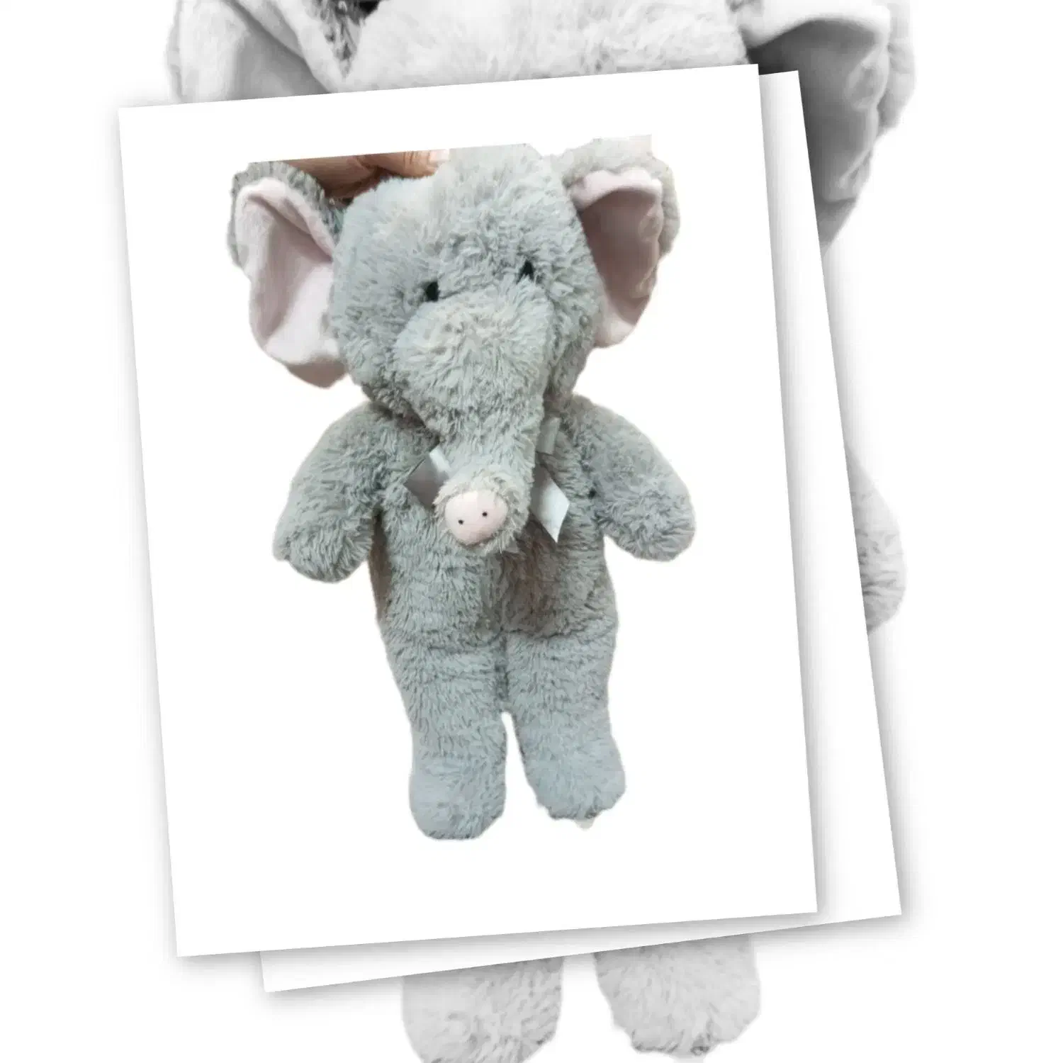 عروسک خارجی|اسباب‌‌بازی|شیراز, زرهی|دیوار